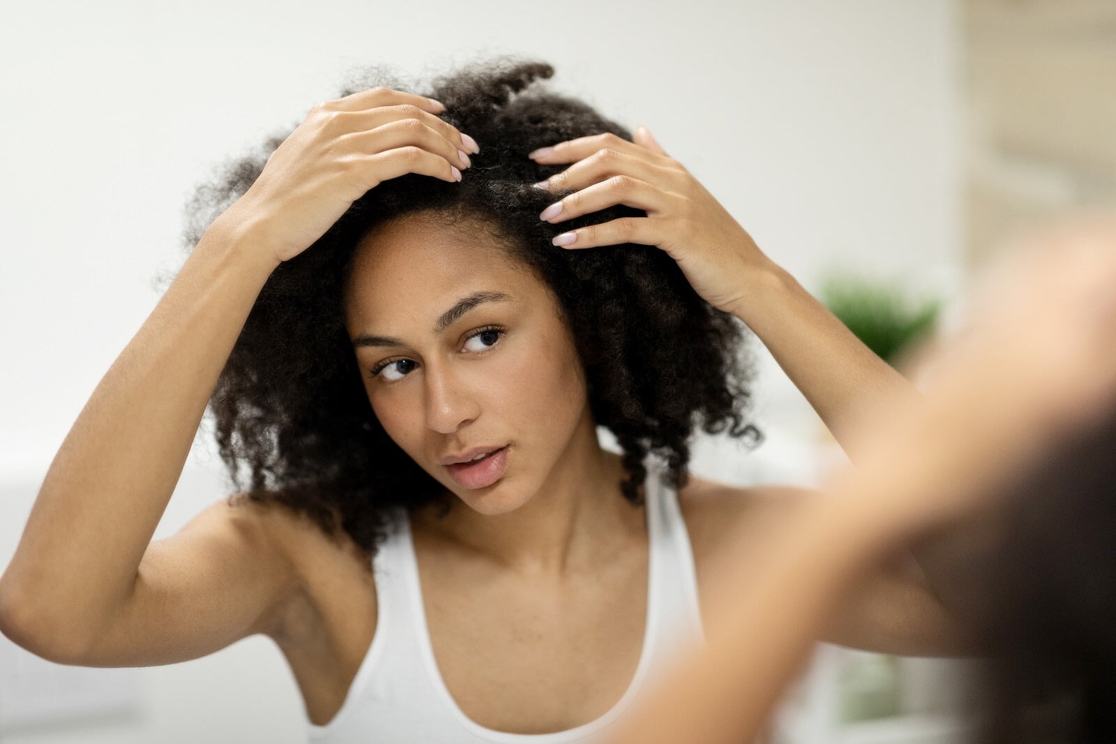 Cracking the Code: Decoding Dry Itchy Scalp vs. Dandruff Dilemma – CLn ...